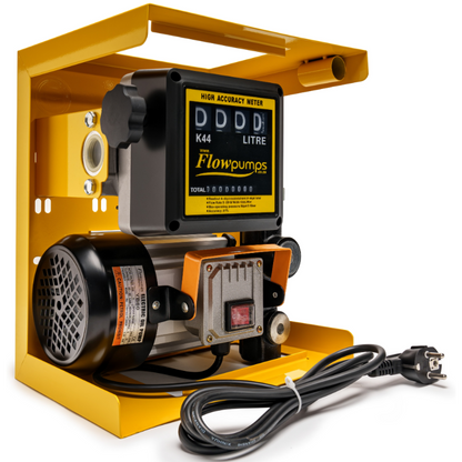 60lpm Diesel Pump Kit 220v with manual nozzle in pump Case